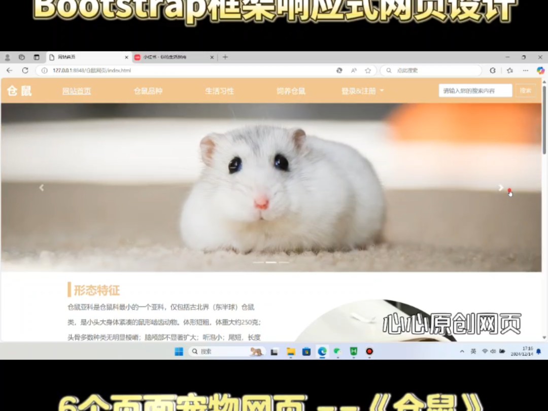 宠物萌宠仓鼠Bootstrap框架响应式网页设计源码小白初学者模板成品哔哩哔哩bilibili