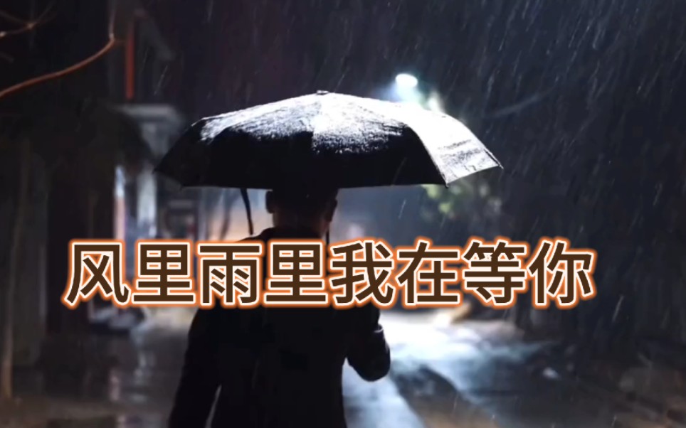 聽一首歌曲《風裡雨裡我在等你》音律美妙,單曲循環