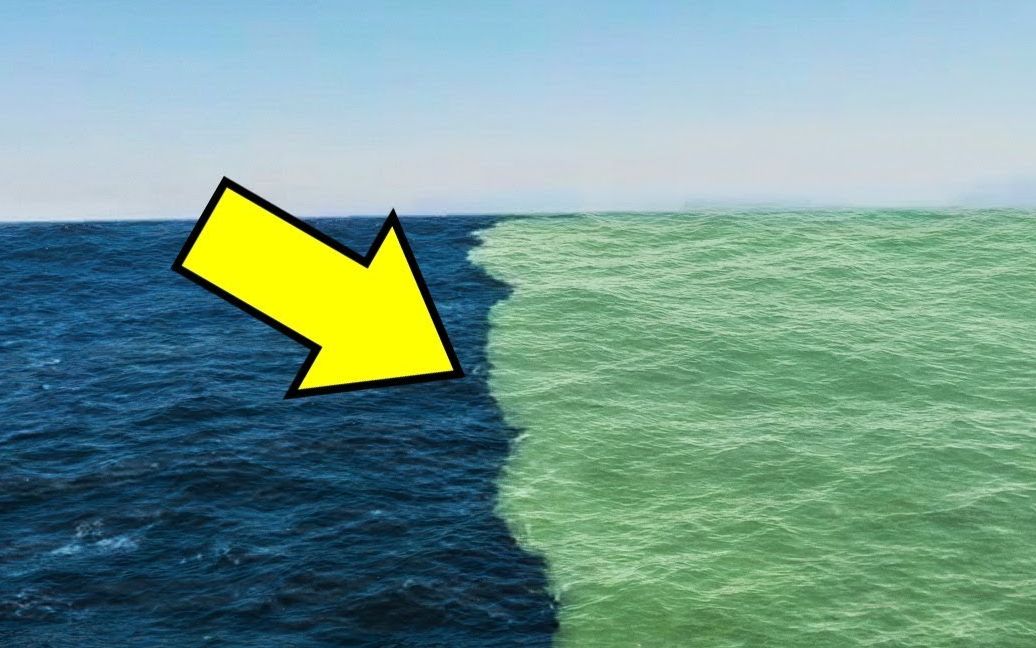阿拉斯加海湾双色海图片