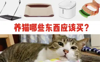 猫鍋声 搜索结果 哔哩哔哩 Bilibili
