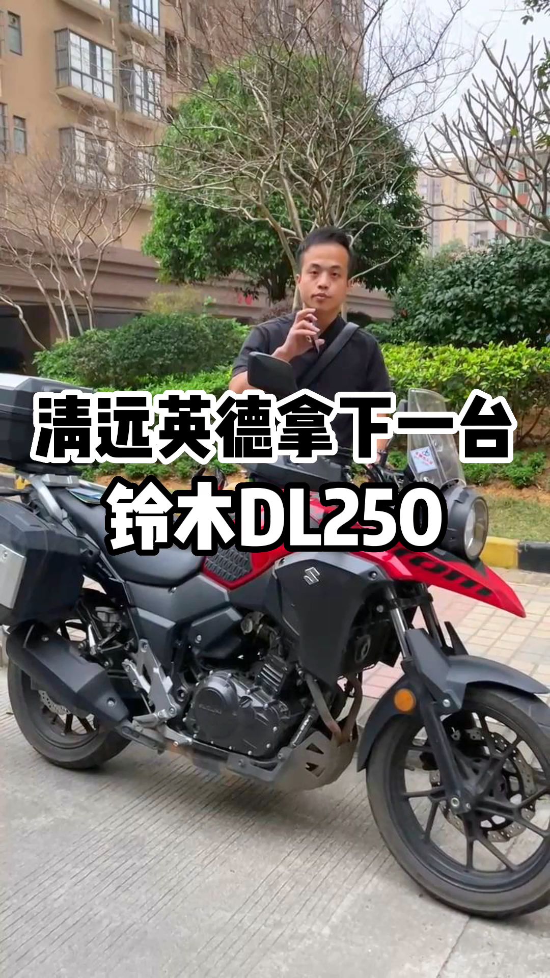 清远英德拿下一台铃木DL250,精品车况哔哩哔哩bilibili