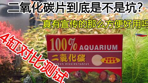 往草缸里扔个药片就有co2 二氧化碳片到底是不是坑 真有宣传的那么方便好用吗 Bilibili新星计划 Vlog 哔哩哔哩 Bilibili