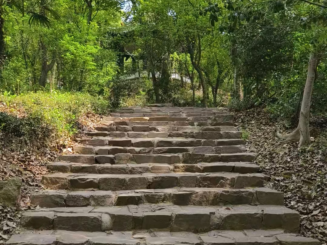 小爬一手无锡锡山