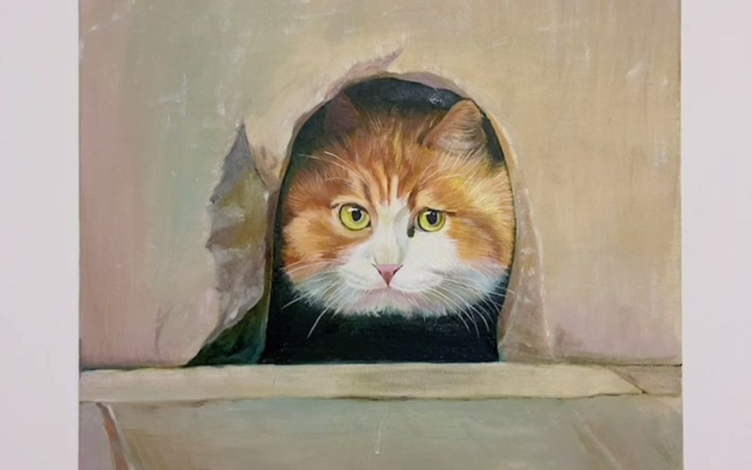 【宠物油画】二十:故宫猫咪帕帕,看这小眼神,应该有很多故事吧.