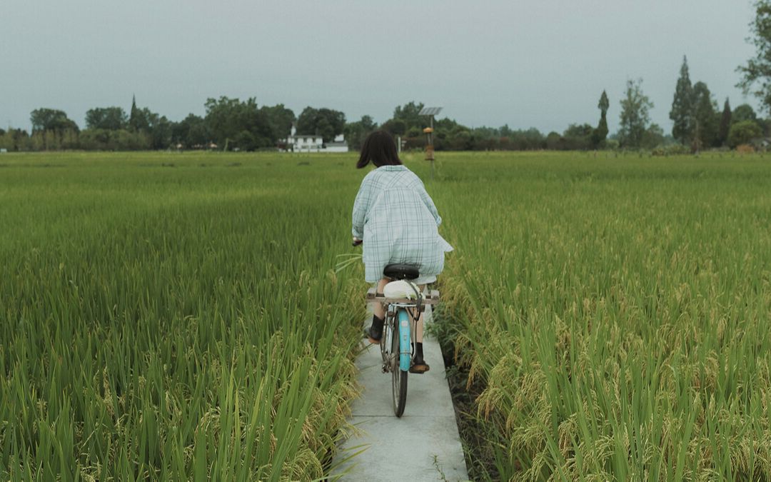 [图]小森林（夏秋篇）