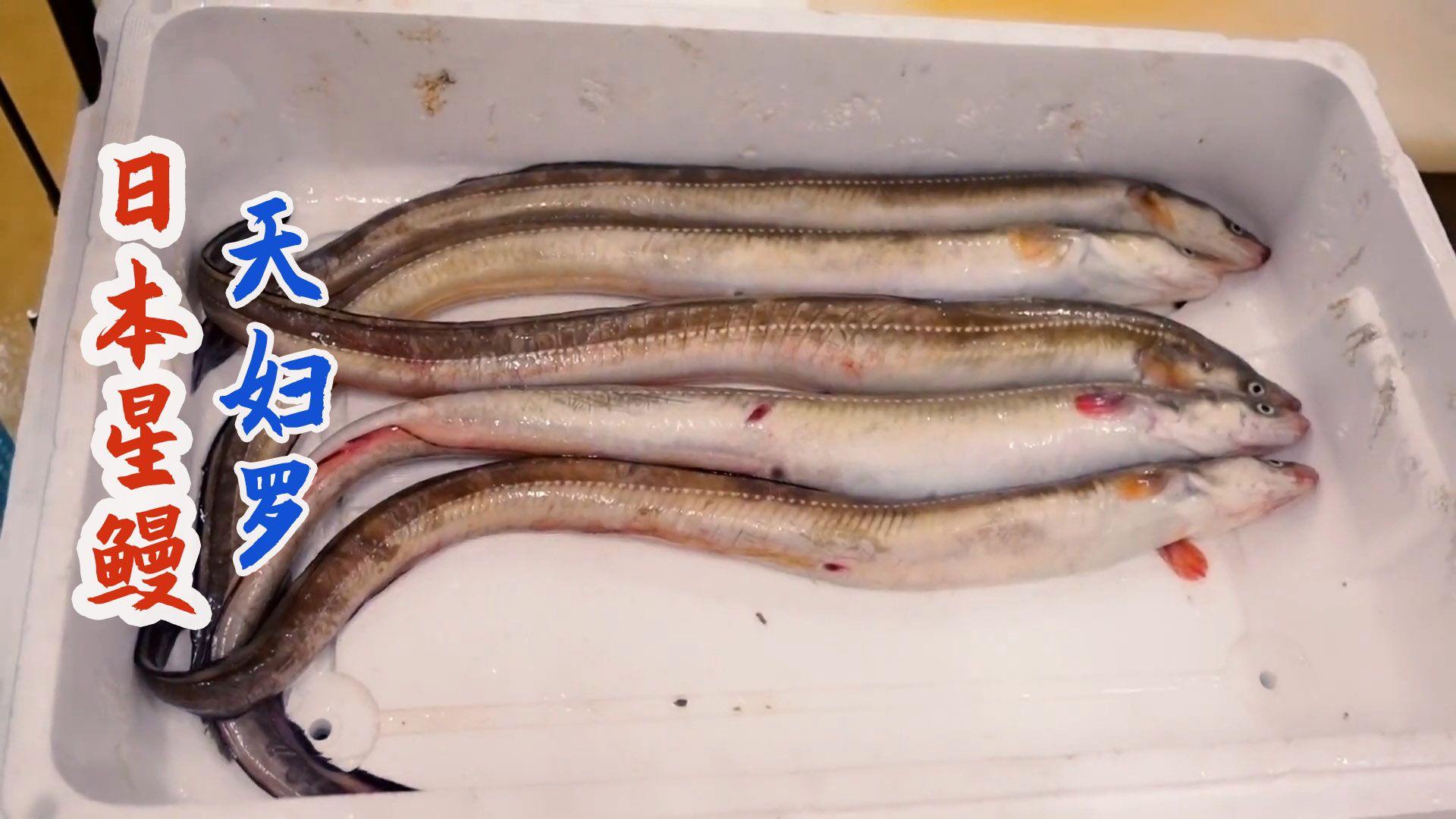 日本厨师处理巨型星鳗,快刀分割去骨油炸天妇罗!_哔哩哔哩_bilibili