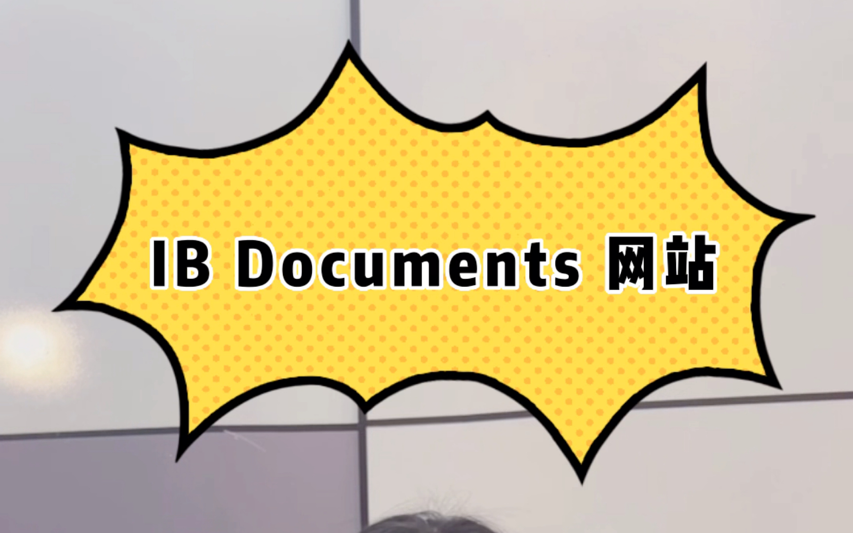 [图]IB Documents 网站