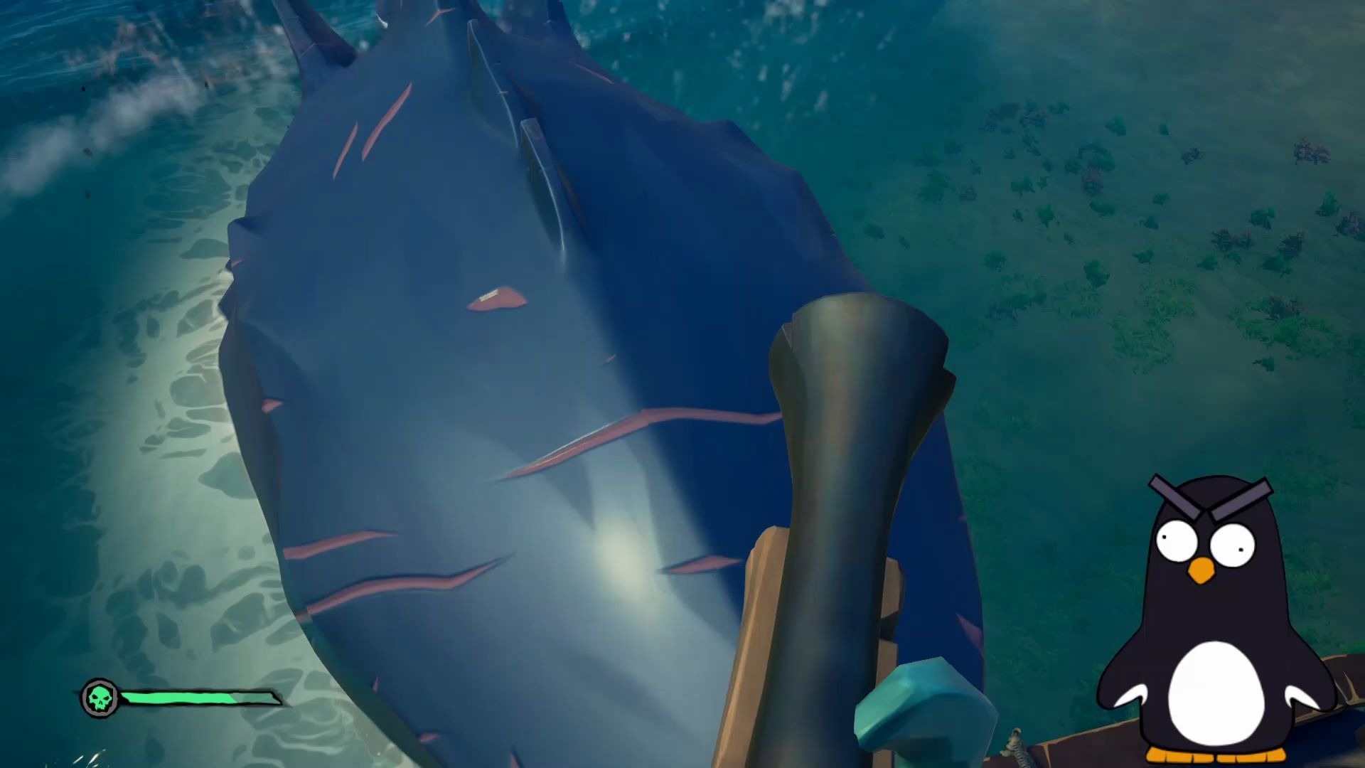 盗贼之海偶遇巨齿鲨bug最后竟被系统制裁