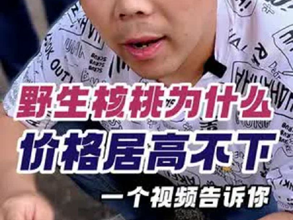 野生核桃价格为什么居高不下?哔哩哔哩bilibili