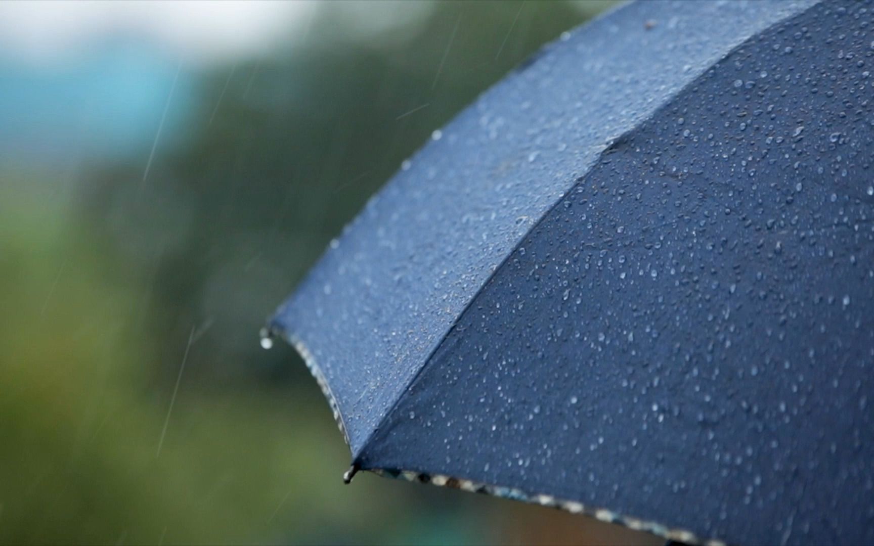 [图]【雨伞下雨声】 | 白噪声 | 大雨与伞的声| 治愈 | 助眠