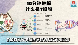 Download Video: 10分钟讲解 什么是T细胞