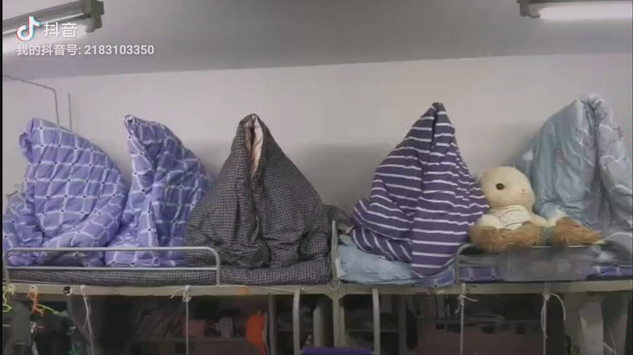 【东北大学】沙雕寝室九舍g区516