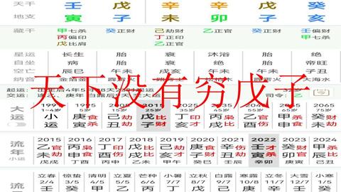 八字 天下没有穷戊子 哔哩哔哩 Bilibili