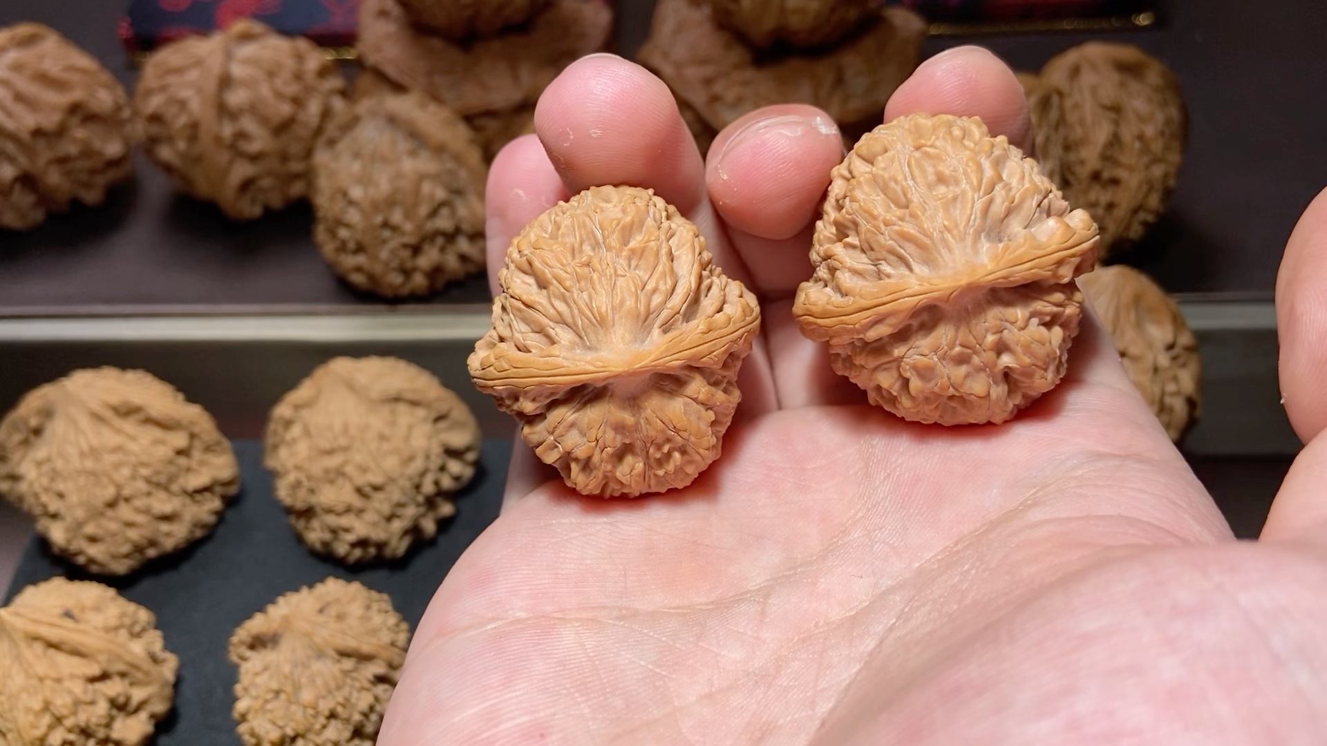 只因水龙纹实在是太美