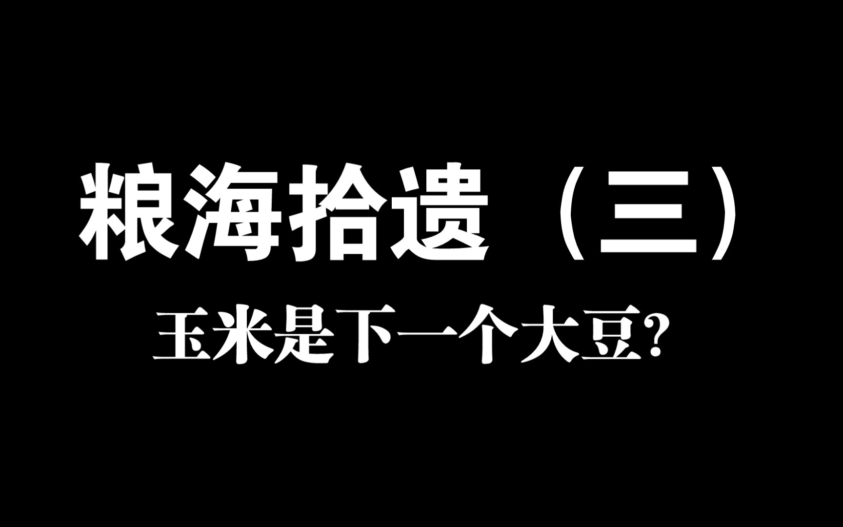 粮海拾遗:玉米,如何在更高层次上保障国家粮食安全?哔哩哔哩bilibili