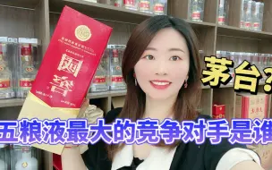 Download Video: 五粮液最大的对手是谁？是宿敌白酒老大茅台，还是另有他人？