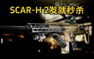 Скачать видео: SCAR-H 2发随便秒人 逃离塔科夫