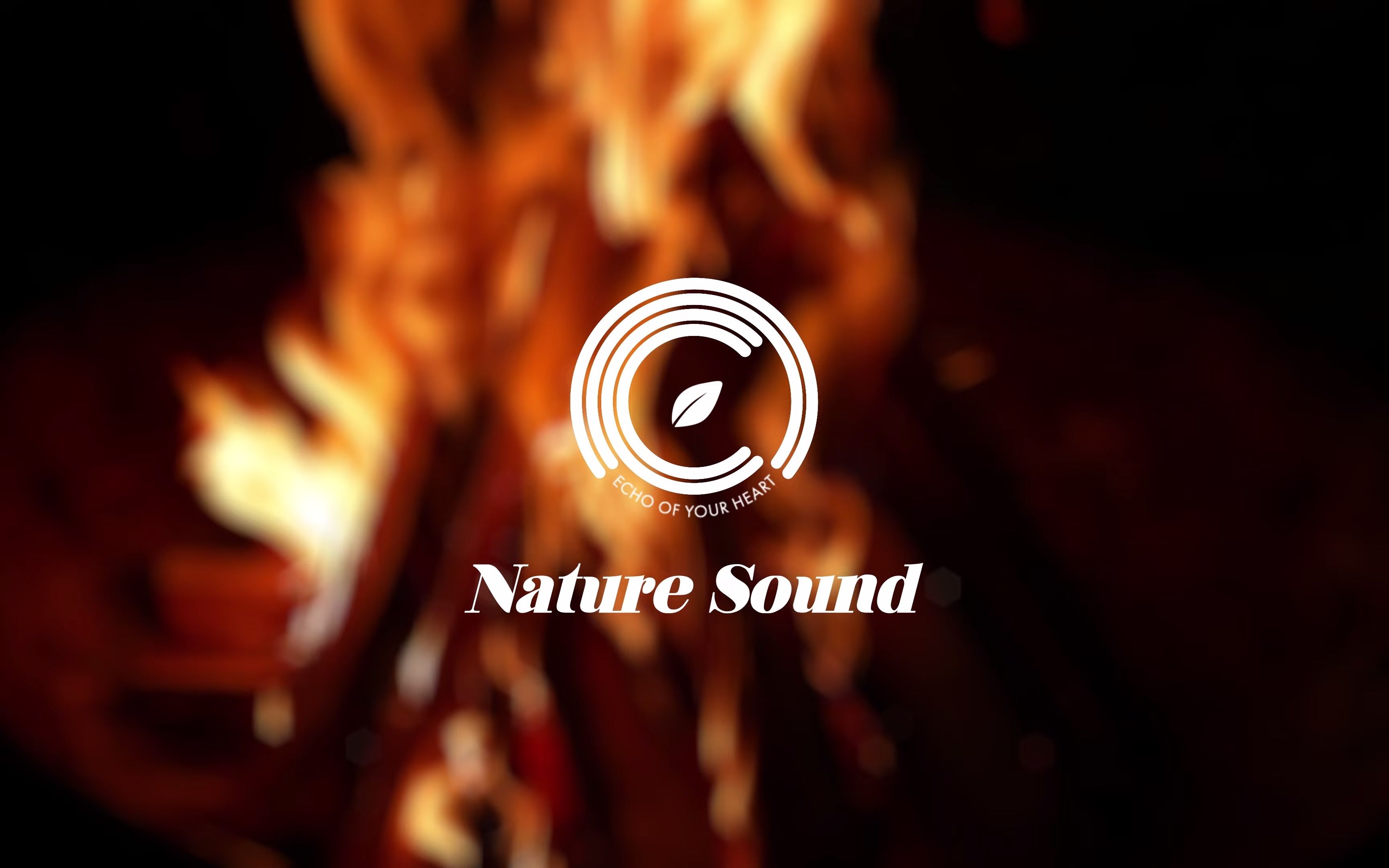 [图]NCSOUND NATURE：柴火燃烧的音效／火坑、篝火、治愈