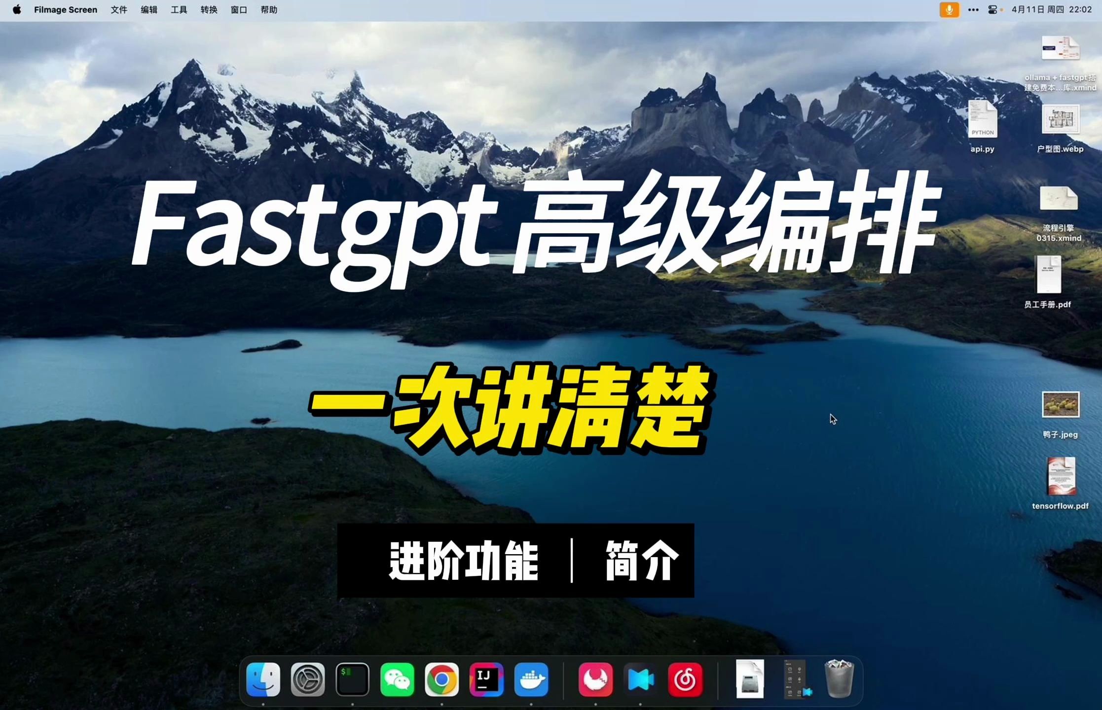 Fastgpt高级编排1.功能简介哔哩哔哩bilibili