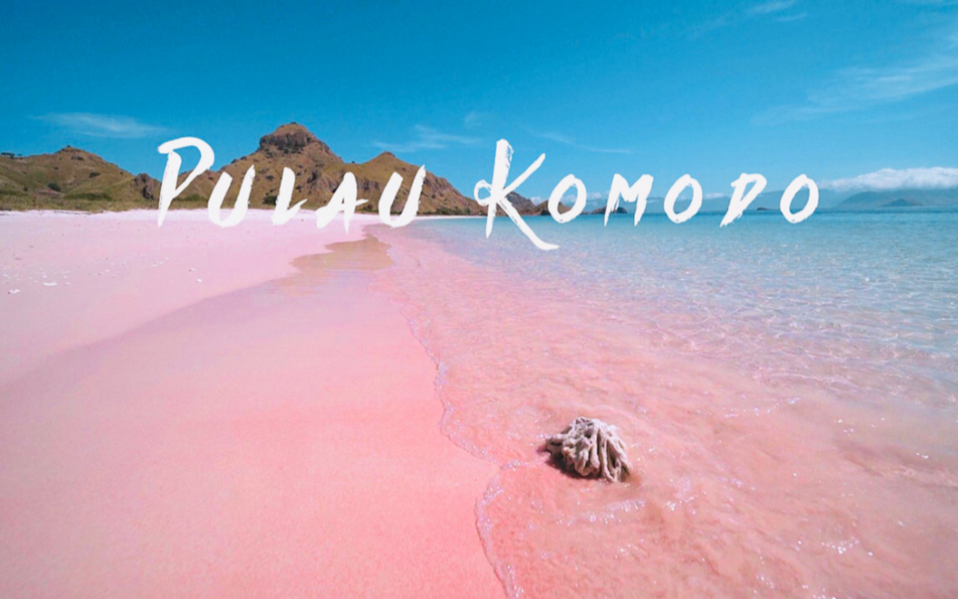 pulaukomodo印尼旅行短片科莫多岛的粉色沙滩