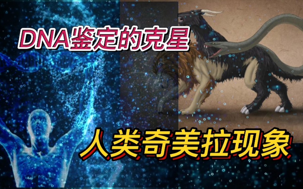 你有可能一辈子都不知道你的身体里可能住着另外一个人神奇的奇美拉