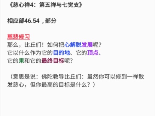 慈心禅4:第五禅与七觉支哔哩哔哩bilibili