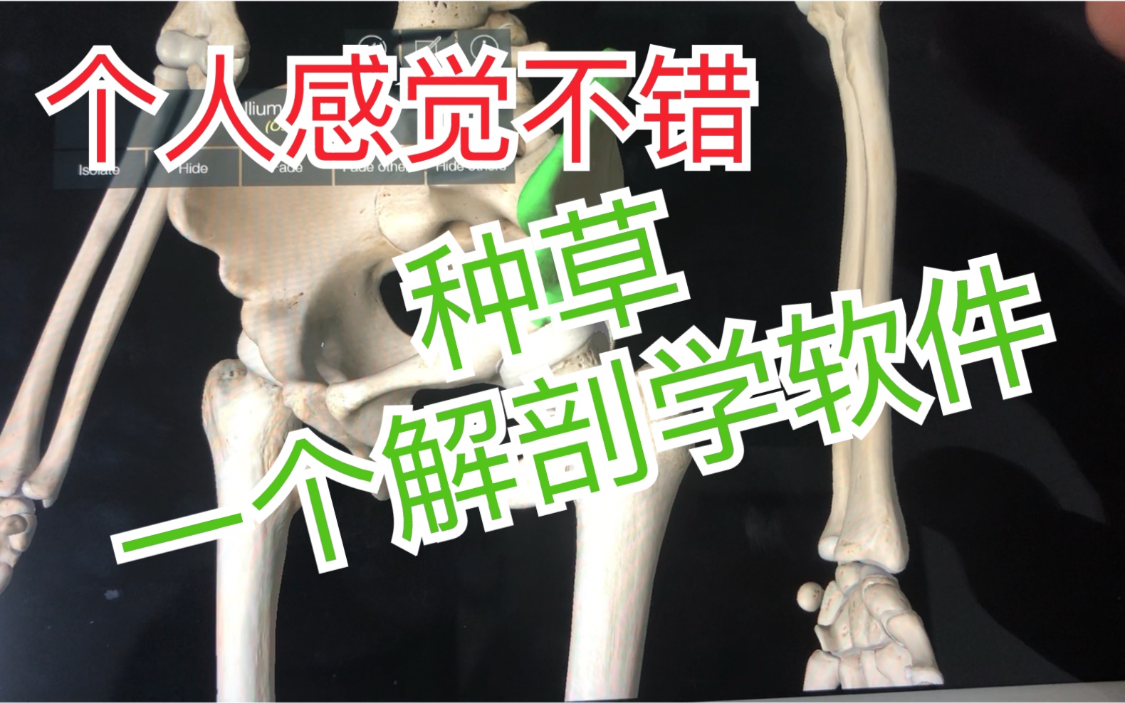 推荐一款学习解剖软件 昨天刚下的感觉不错 ess anatomy 软件 学习 解剖 正骨哔哩哔哩bilibili