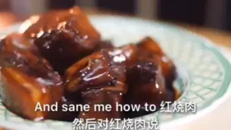 老外眼中的红烧肉和料理方法 你会喜欢这样的红烧肉么 哔哩哔哩 Bilibili