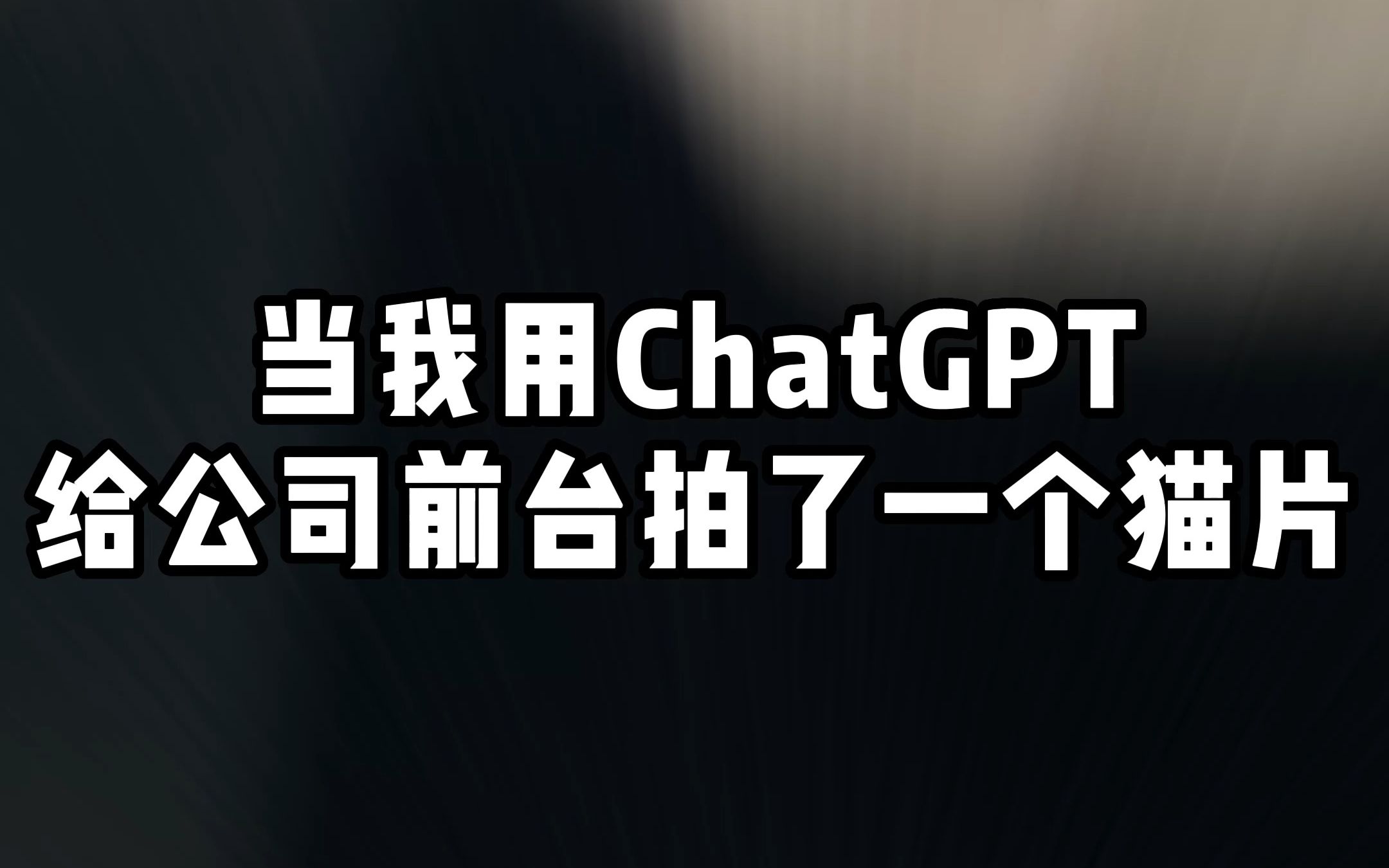 当我用ChatGPT给公司前台拍了一个“猫片”…哔哩哔哩bilibili