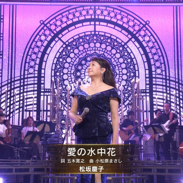 (未使用･未開封品)　松坂慶子主演 大河ドラマ 春の波涛 完全版 第壱集 qdkdu57 AM 松坂慶子主演 大河ドラマ 春の波涛 完全版 第壱集 - メルカリ