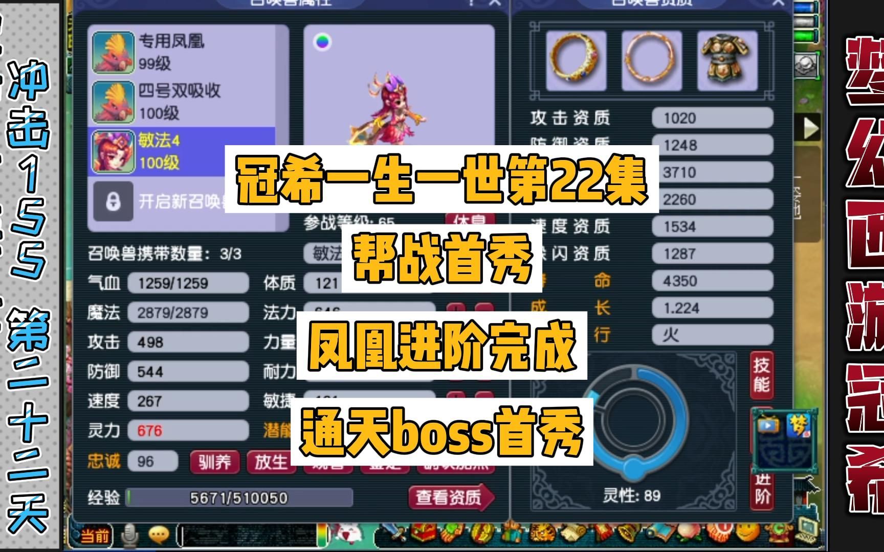 活动  梦幻西游:一生一世22天,通天boss也挺简单,凤凰全部进阶完成