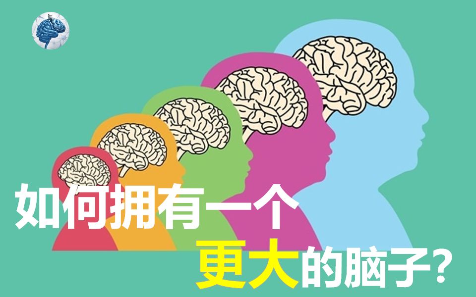 [图]如何拥有一个更大的脑子