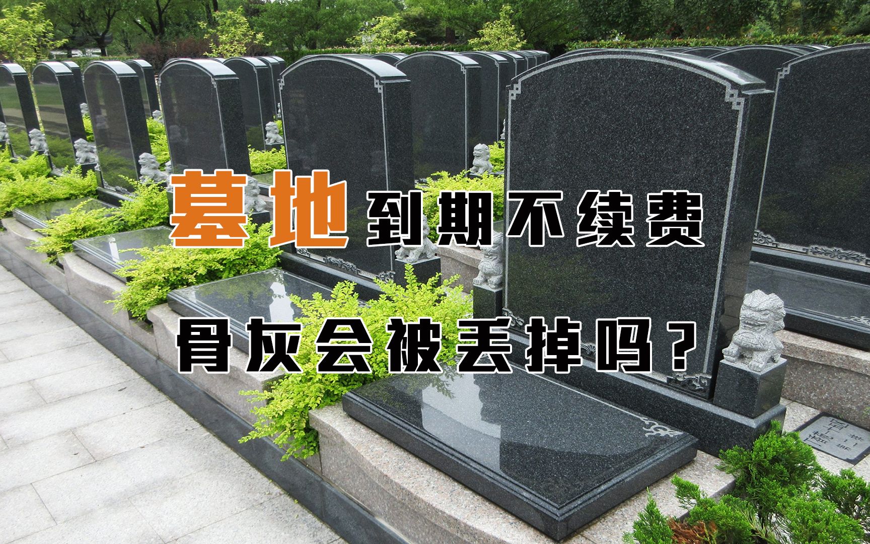 [图]墓地到期不续费，骨灰会被挖出来丢掉吗？能放在骨灰房里吗？