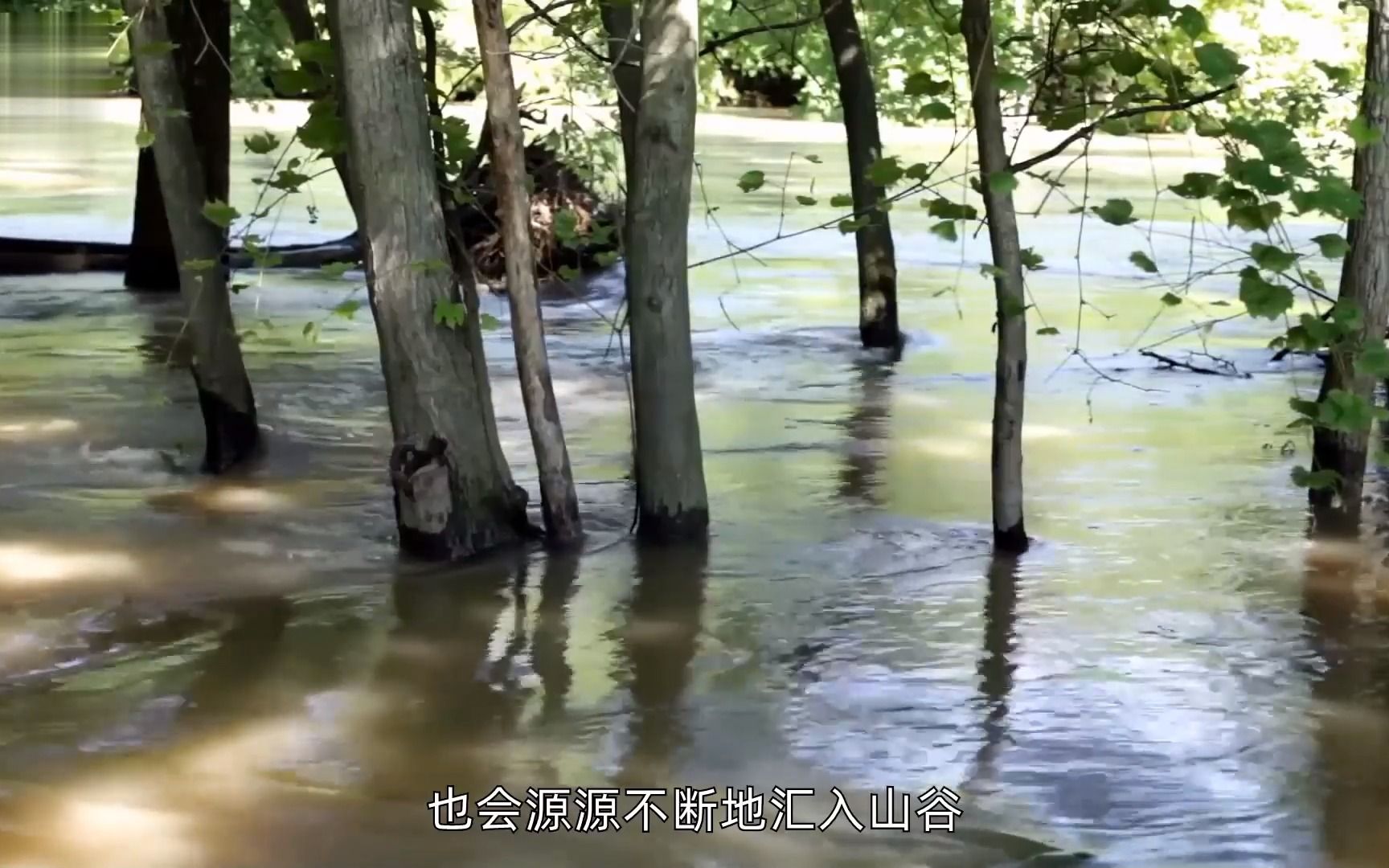 山东特大暴雨:汽车被淹,积水齐腰!为什么城市一下雨就内涝?哔哩哔哩bilibili