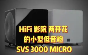 Download Video: HiFi 影院两开花的小型低音炮：SVS 3000 MICRO！