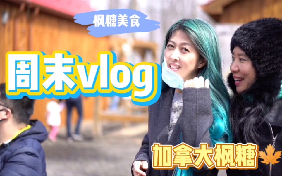 加拿大vlog|为枫糖美食陷进去了!!哔哩哔哩bilibili