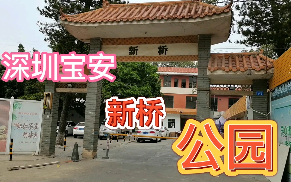 深圳宝安新桥公园,这里曾是打工妹周末最喜欢去的地方哔哩哔哩bilibili