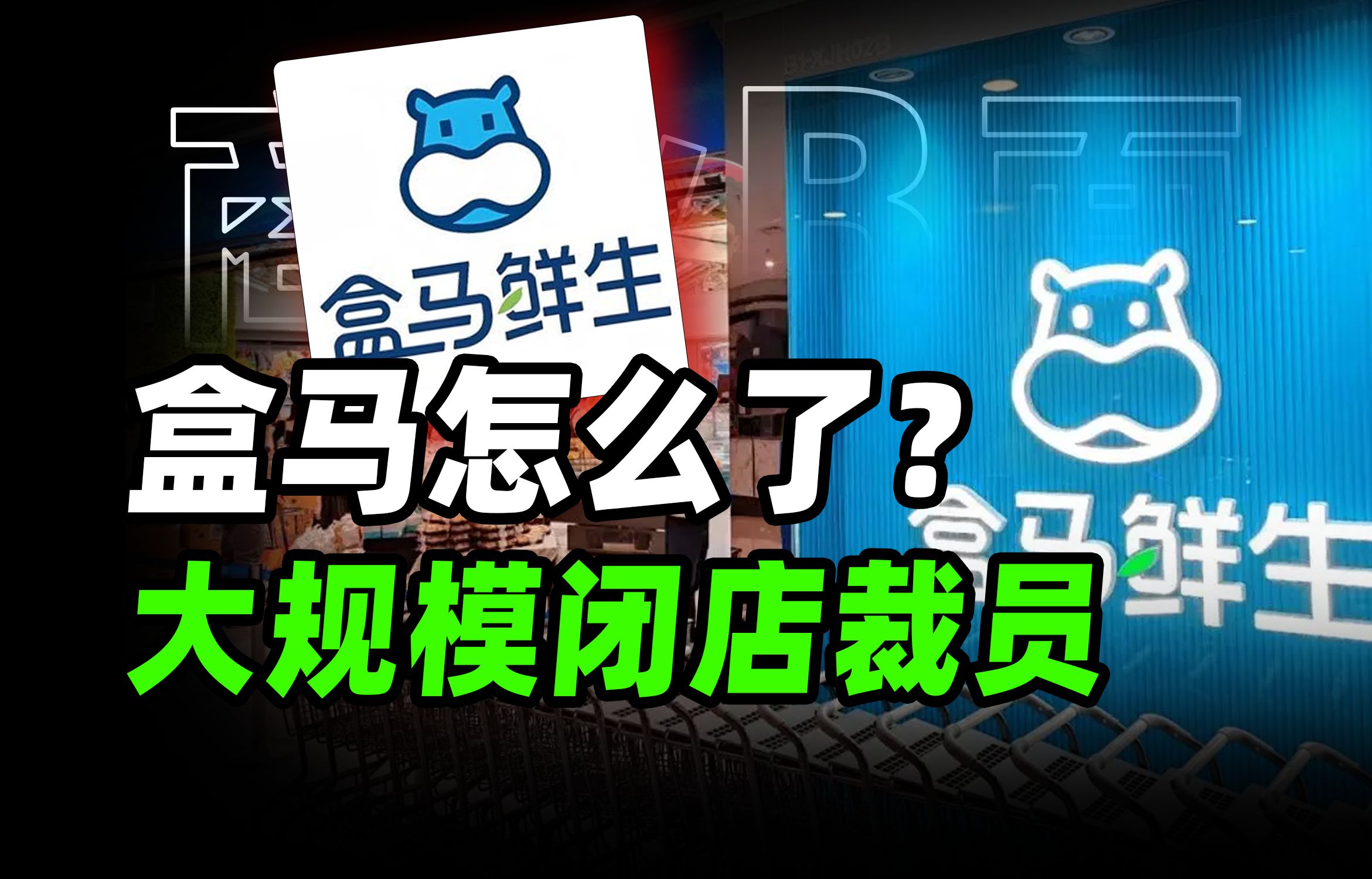 富二代盒马 “大败局”:疯狂扩张、拳打山姆、品质危机、决策混乱,含着金汤匙的阿里嫡系为何陷入品质+战略 “双泥沼”?【破产姐妹】哔哩哔哩bilibili