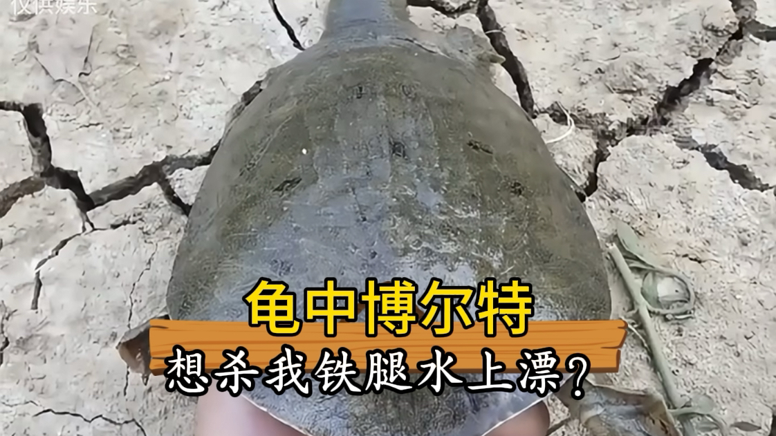 想杀我铁腿水上漂?