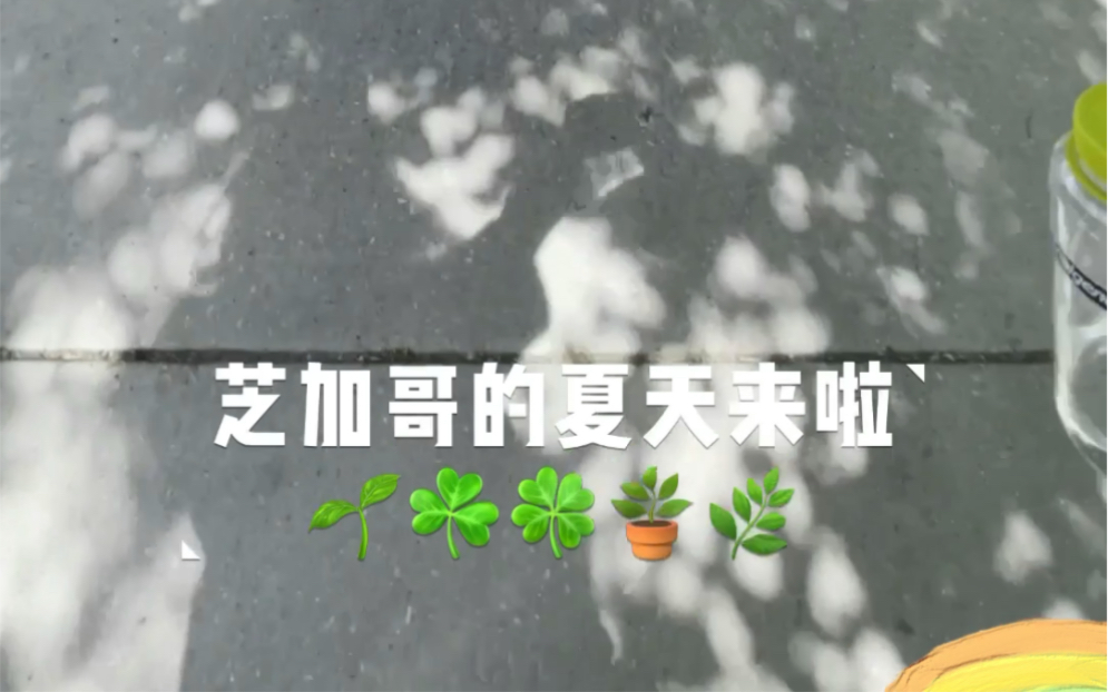 [图]我喜欢在夏天蹦蹦跳跳的走在路上