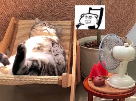 躺躺椅,吹风扇,睡觉觉.又是羡慕小猫的一天