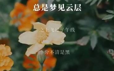 [图]我们一起学唱《日落大道》#全民k歌#日落大道#花声匠咕噜老师