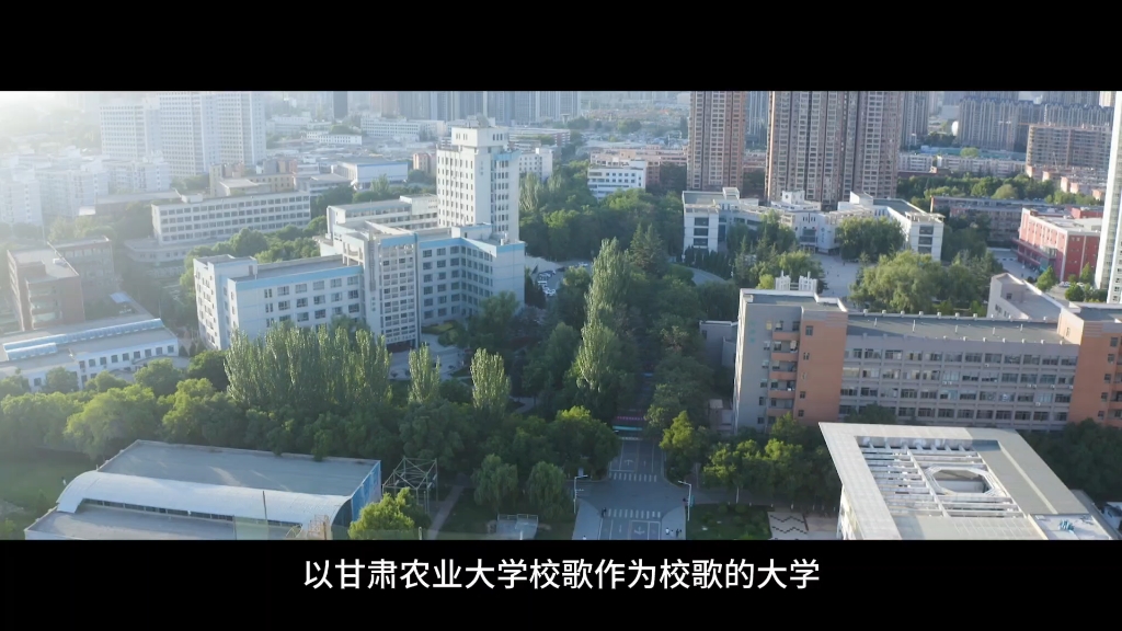 甘肃农业大学全景图图片