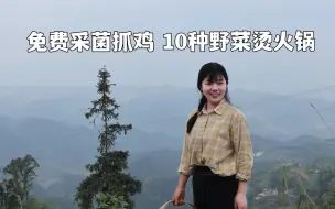 Download Video: 4位返乡青年“蹭吃蹭喝”在村里免费抓鸡采菌挖笋，还用10种野菜做火锅宴