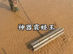 下载视频: 神器震蛏王