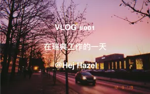 Download Video: 在瑞典工作的一天 VLOG