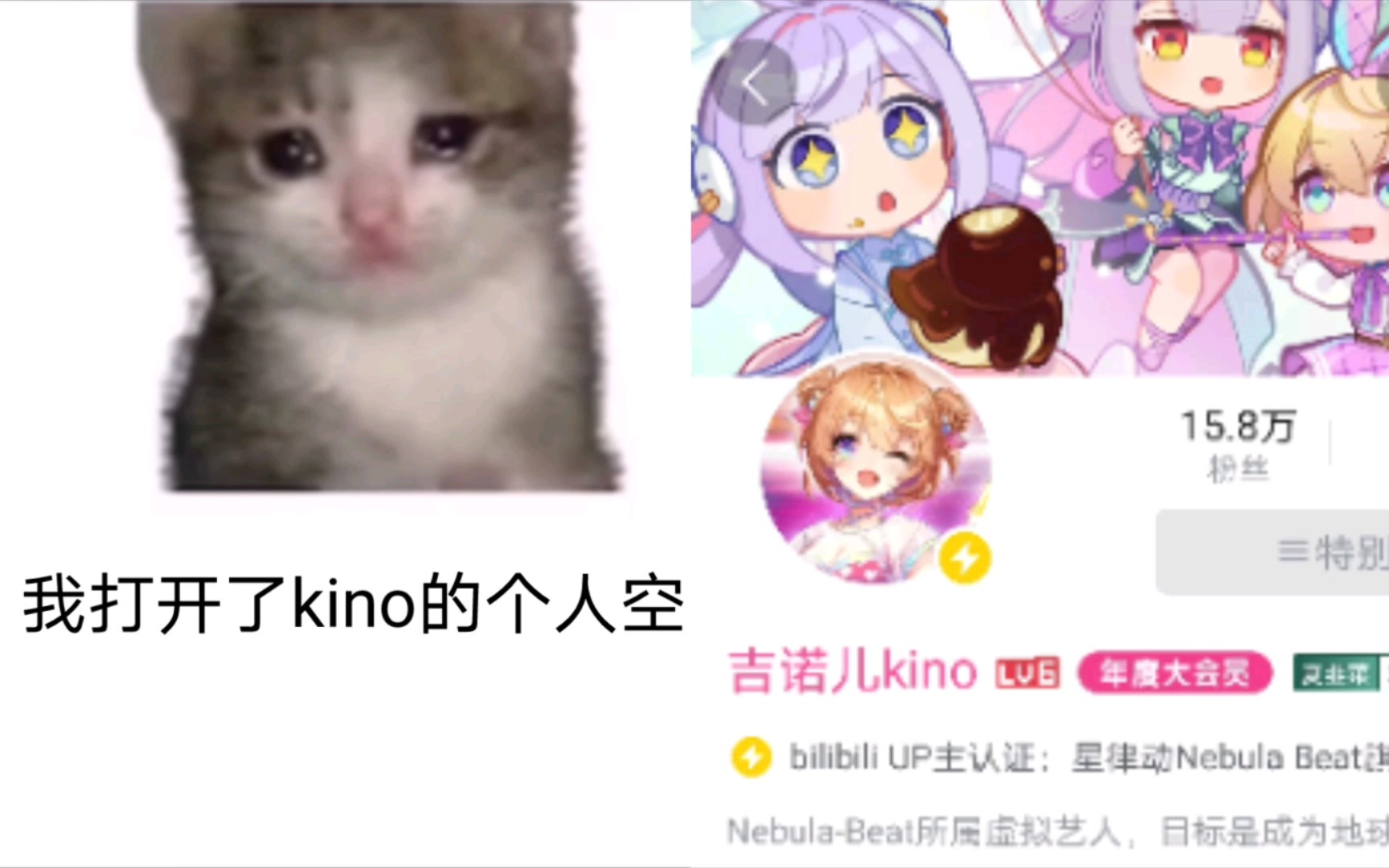 【吉诺儿kino】可颂猫,但是kino哔哩哔哩bilibili