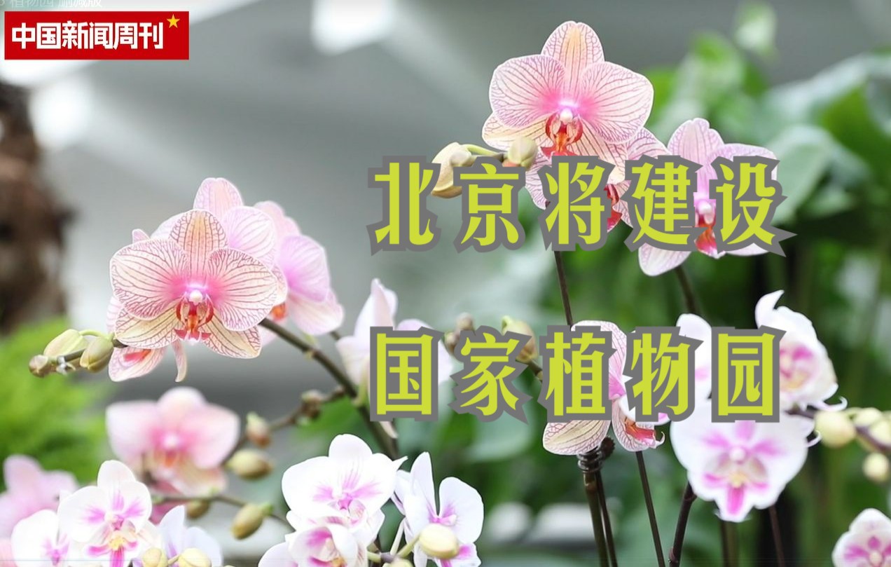 北京将建设国家植物园 专家:植物“迁地保护”是难点哔哩哔哩bilibili