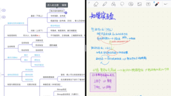 实验心理学实验范式框架,结合认知心理学,听觉、视觉、知觉部分哔哩哔哩bilibili