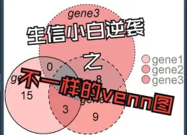 Скачать видео: TOmicsVis包之不一样的venn图